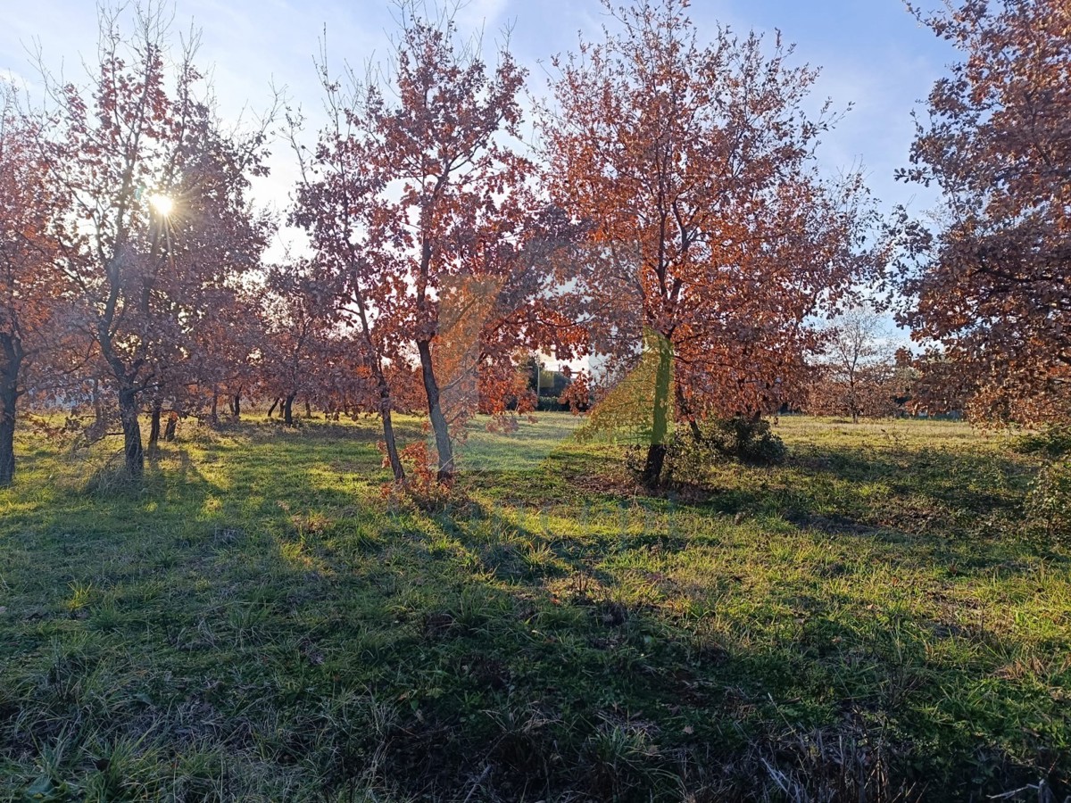 Poreč, dintorni, Terreno edificabile in una bella posizione a 6 km dal mare