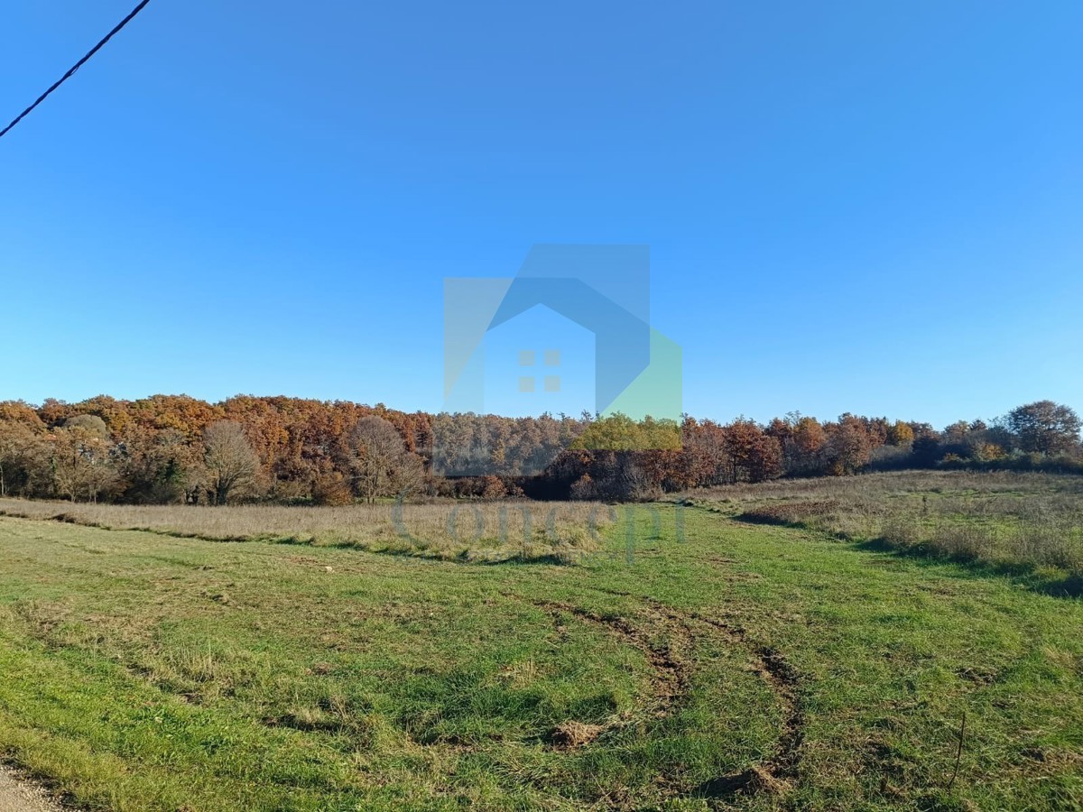 Poreč, dintorni, grande proprietà con casa da ristrutturare