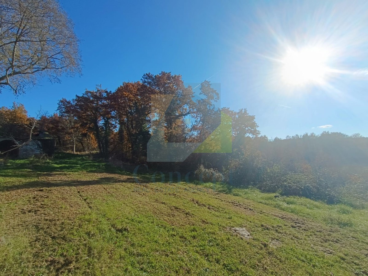 Poreč, dintorni, grande proprietà con casa da ristrutturare