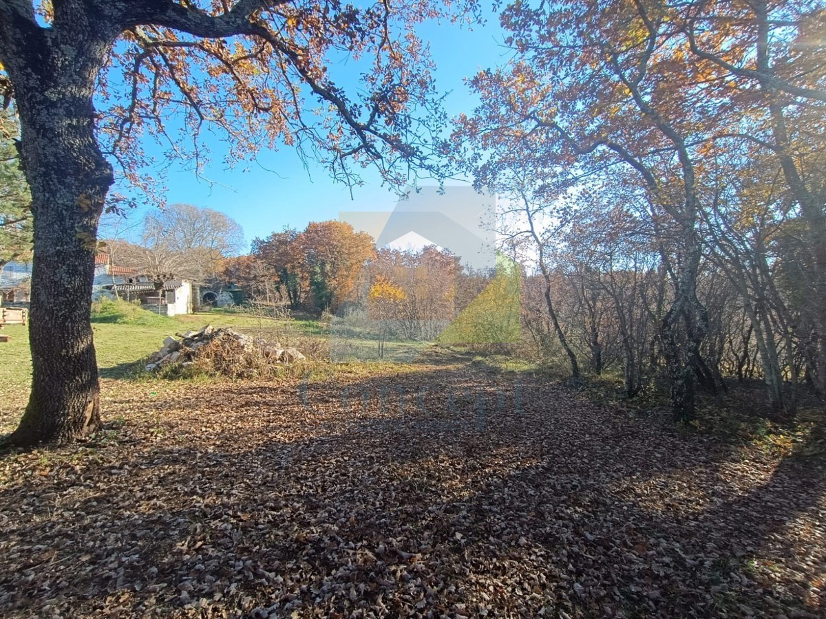 Poreč, dintorni, grande proprietà con casa da ristrutturare