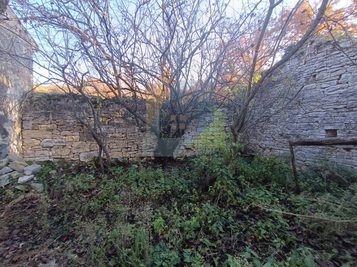Poreč, dintorni, grande proprietà con casa da ristrutturare