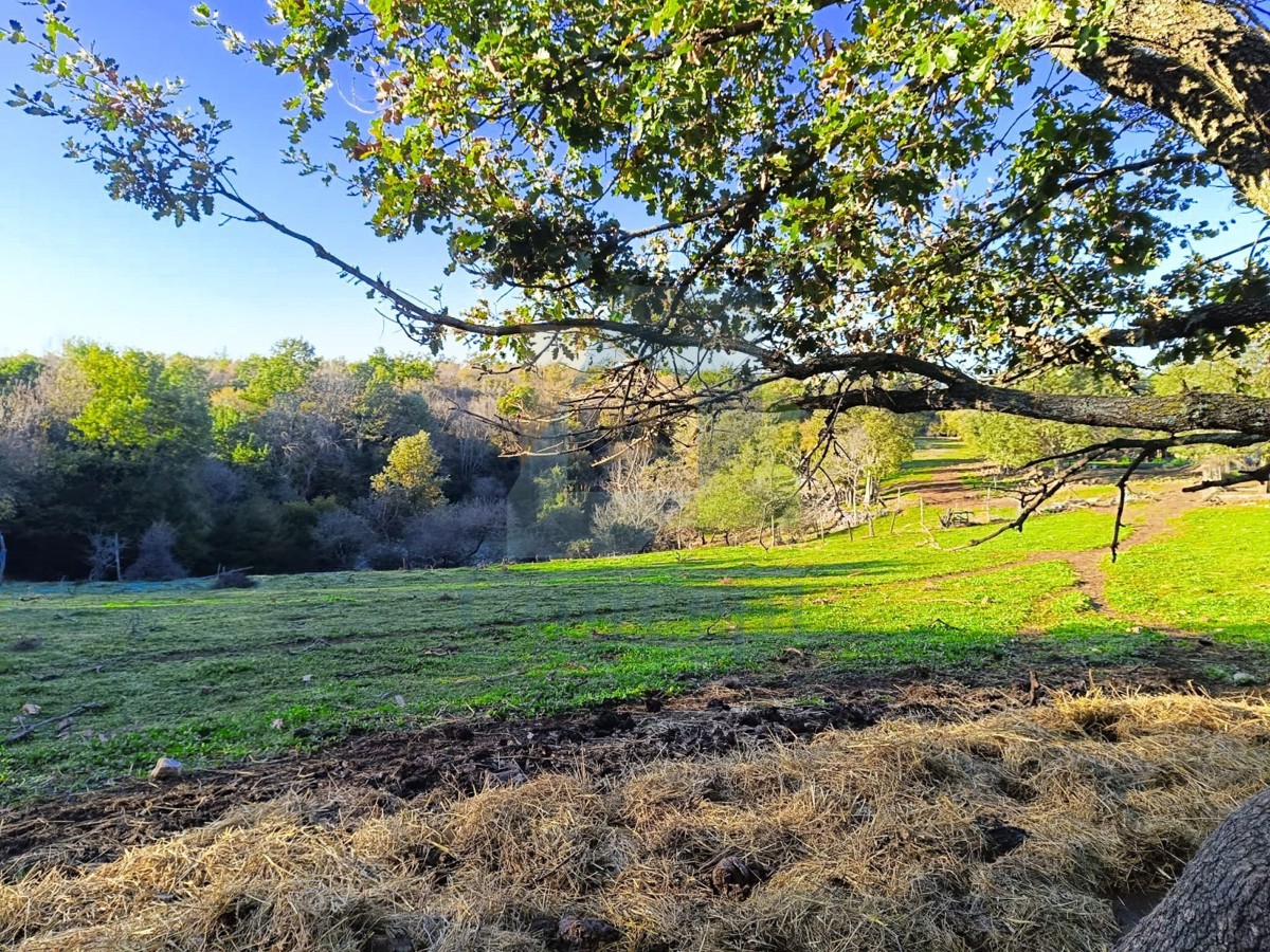 Poreč, dintorni, Terreno edificabile al confine del paese