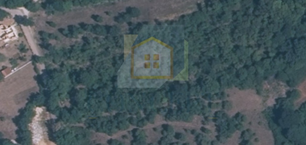 Poreč, dintorni, Terreno combinato (1500 m2 + 3500 m2) in posizione tranquilla, 13 km dal mare