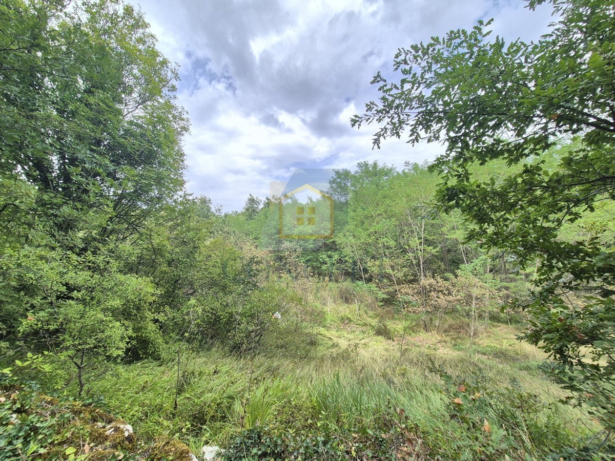 Terreno edificabile Tinjan, scopo ristorazione!