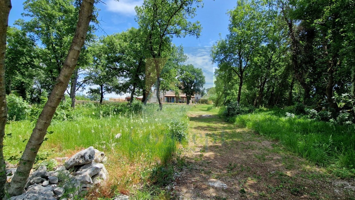 Poreč, dintorni, Casa istriana autoctona ristrutturata con ampio giardino.