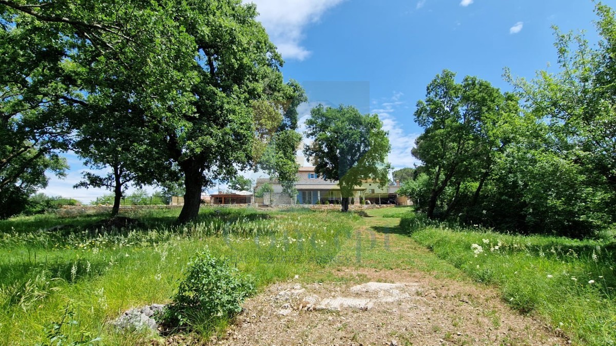 Poreč, dintorni, Casa istriana autoctona ristrutturata con ampio giardino.