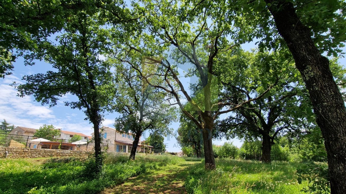 Poreč, dintorni, Casa istriana autoctona ristrutturata con ampio giardino.