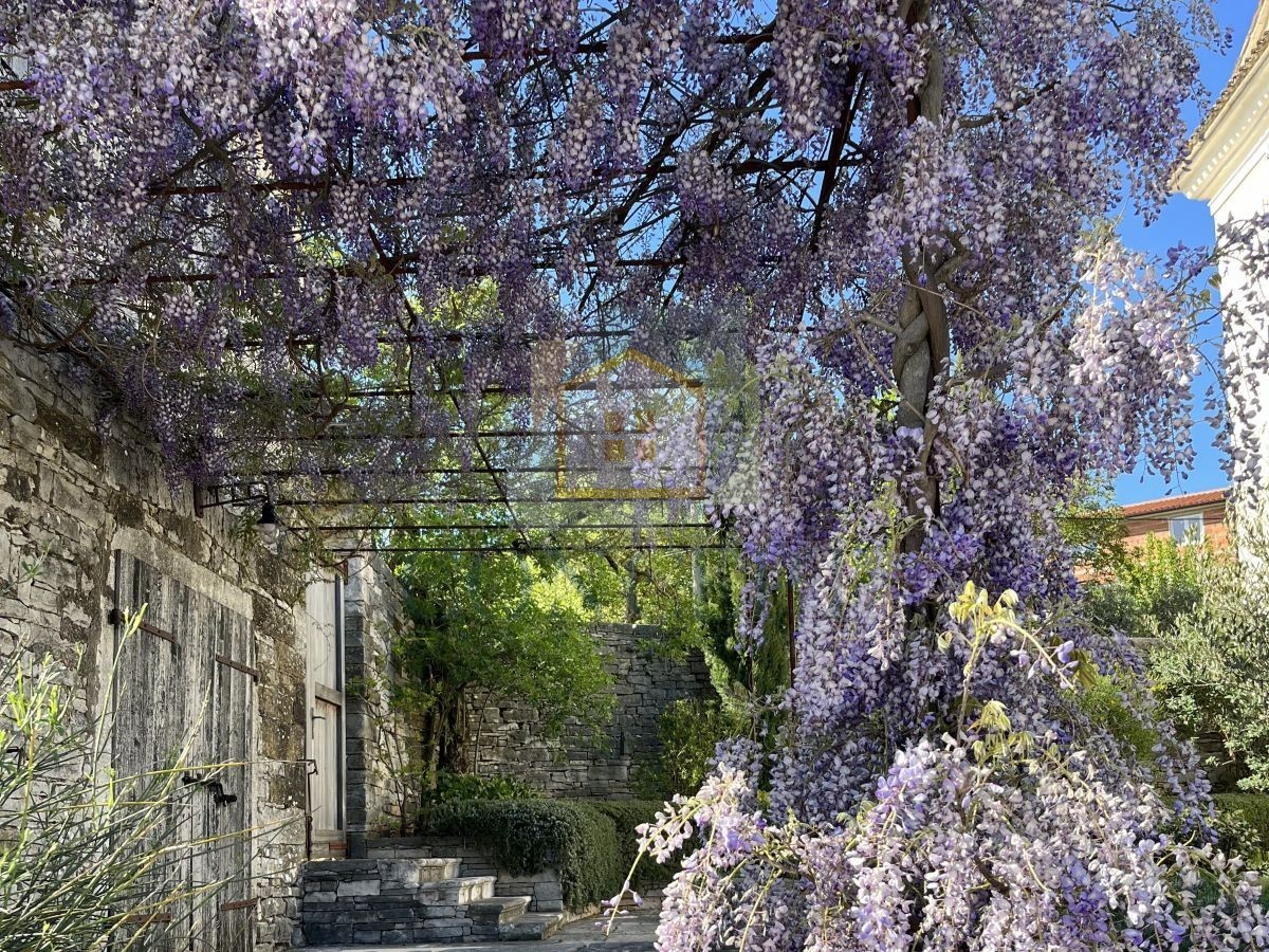 Buje, dintorni, Lussuosa proprietà veneziana in una posizione splendida