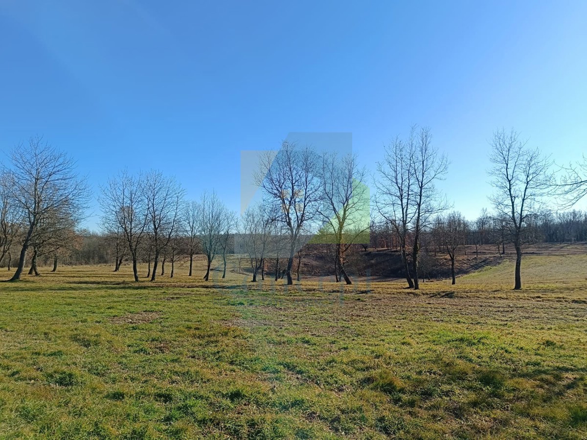 Poreč, dintorni, Terreni edificabili in una splendida posizione tranquilla