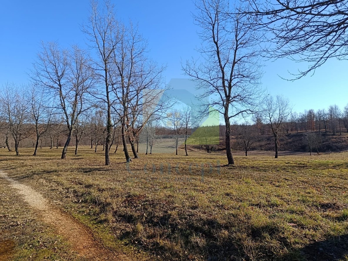 Poreč, dintorni, Terreni edificabili in una splendida posizione tranquilla
