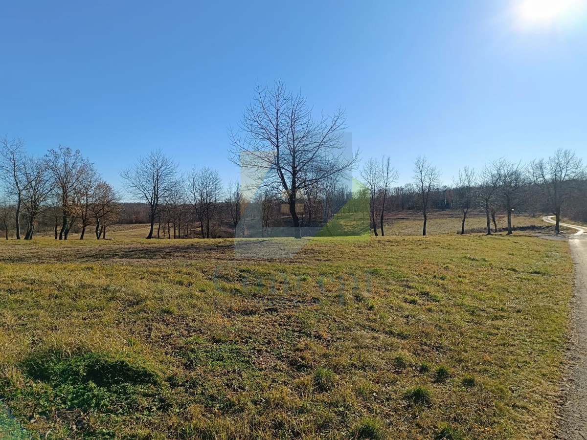 Poreč, dintorni, Terreni edificabili in una splendida posizione tranquilla
