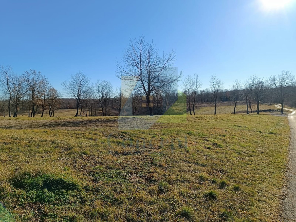 Poreč, dintorni, Terreni edificabili in una splendida posizione tranquilla