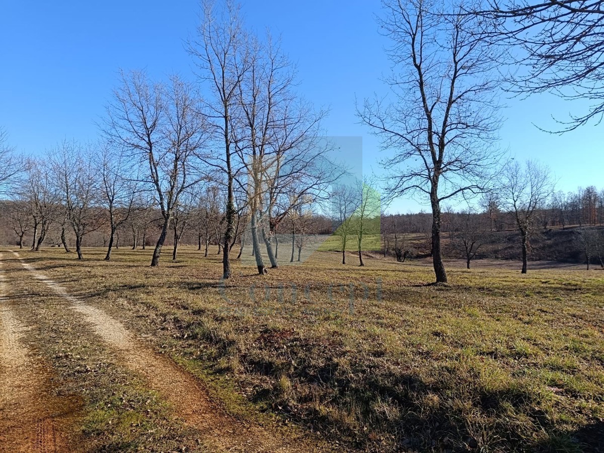 Poreč, dintorni, Terreni edificabili in una splendida posizione tranquilla