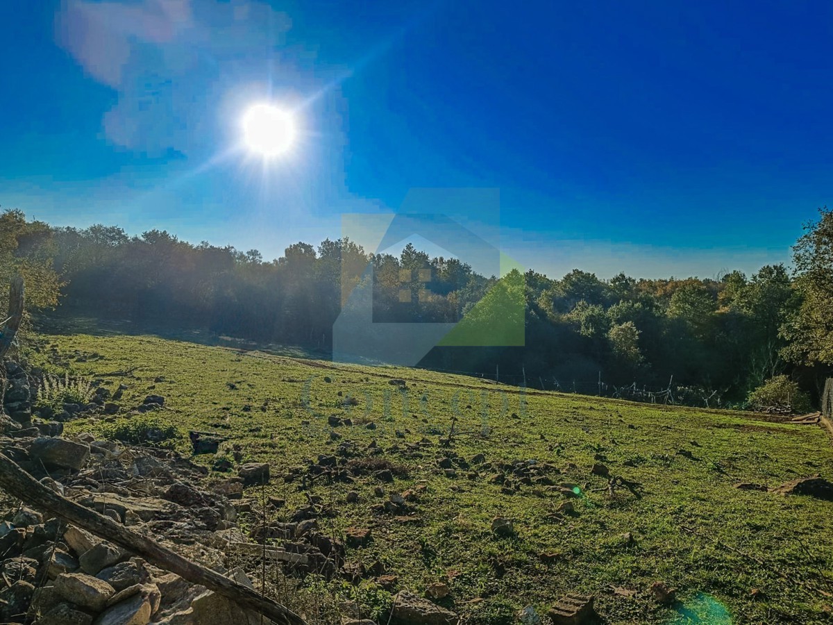 Poreč, dintorni, Terreno edificabile ai margini dell'abitato