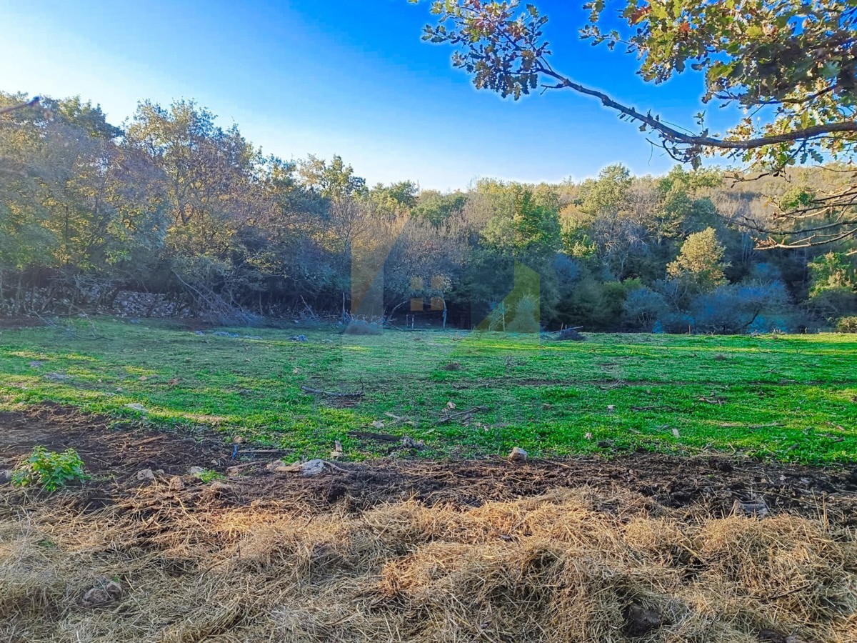 Poreč, dintorni, Terreno edificabile ai margini dell'abitato