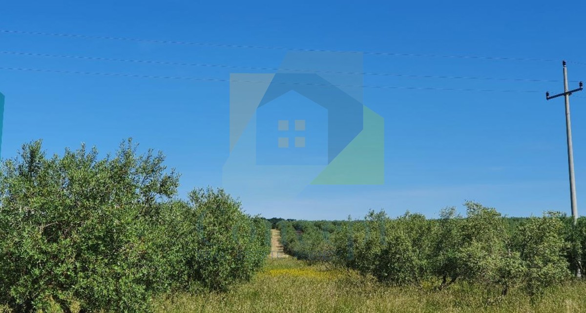 Poreč, dintorni, Terreno edificabile a 300 m dal mare zona T1