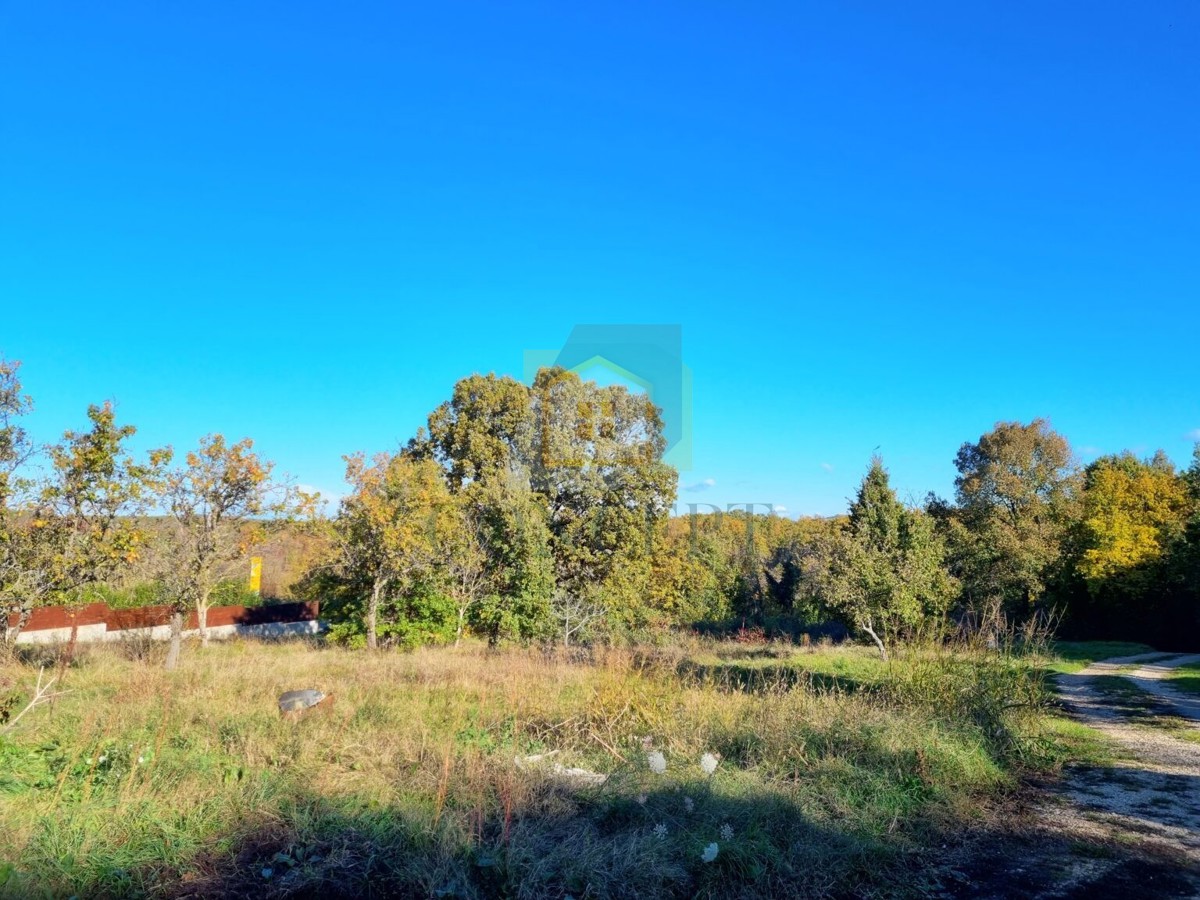 Buje, zona, Terreno edificabile 2100 m2, 7 km dal mare