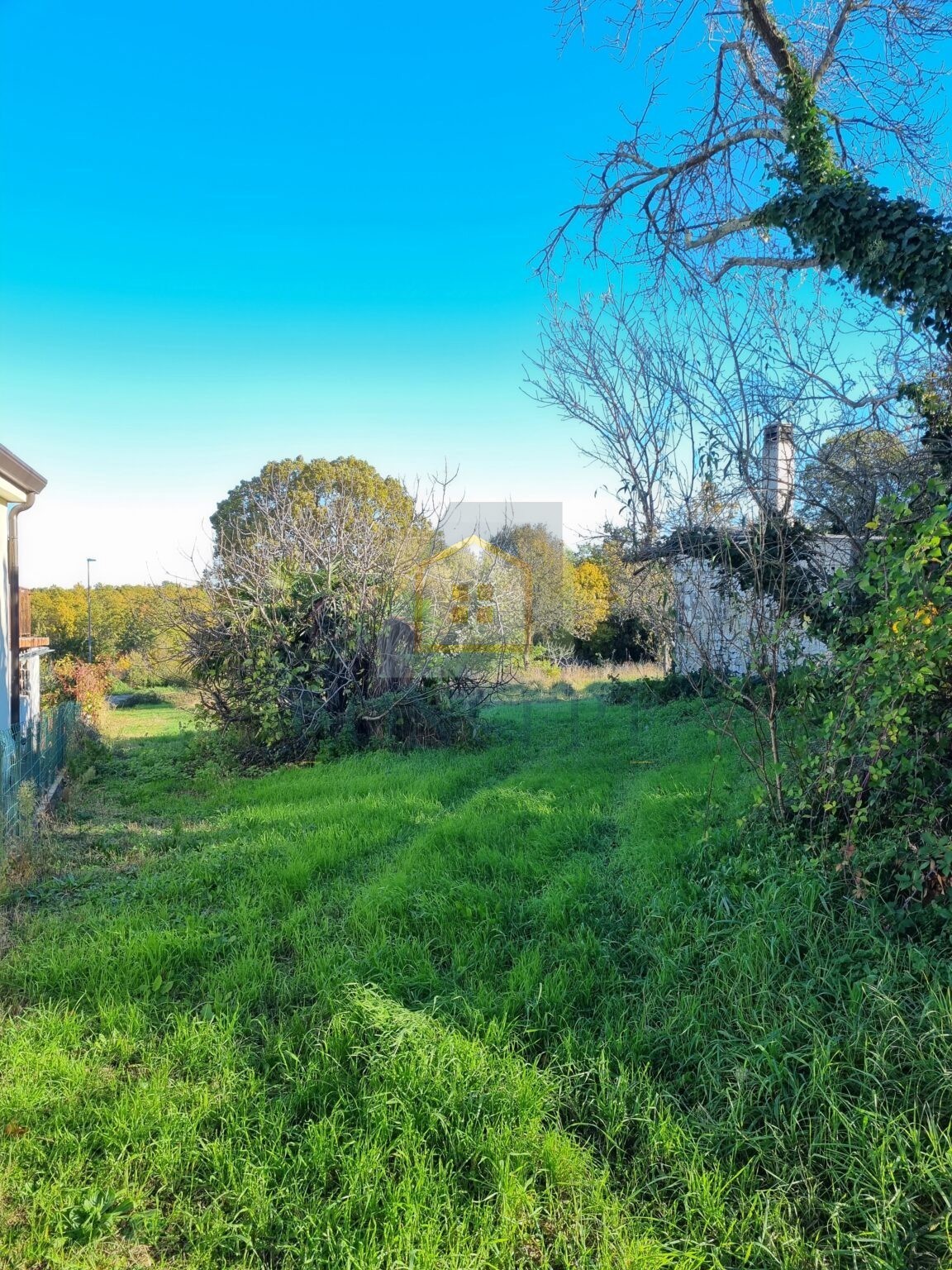 Buje, zona, Terreno edificabile 2100 m2, 7 km dal mare