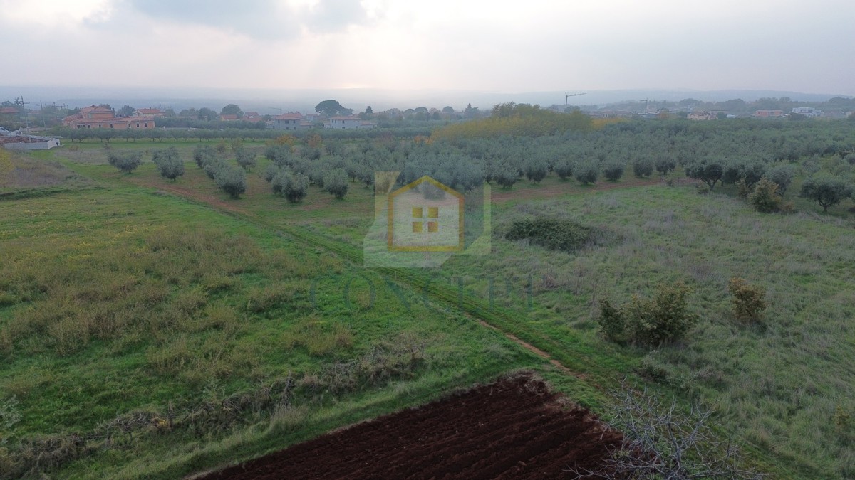 Poreč, dintorni, Terreno edificabile con vista mare, 12 km dal mare