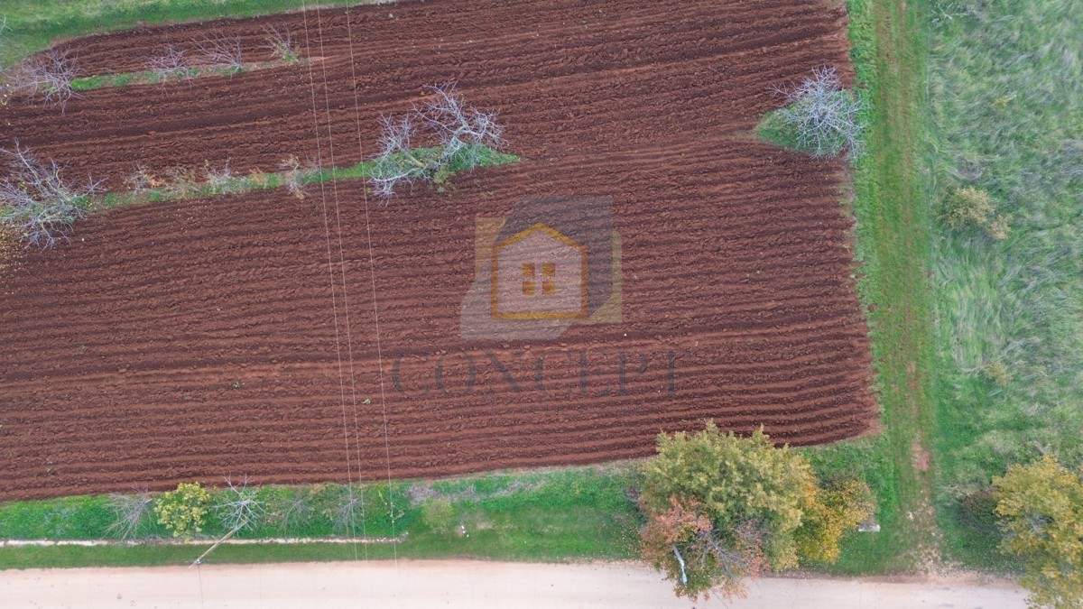 Poreč, dintorni, Terreno edificabile con vista mare, 12 km dal mare