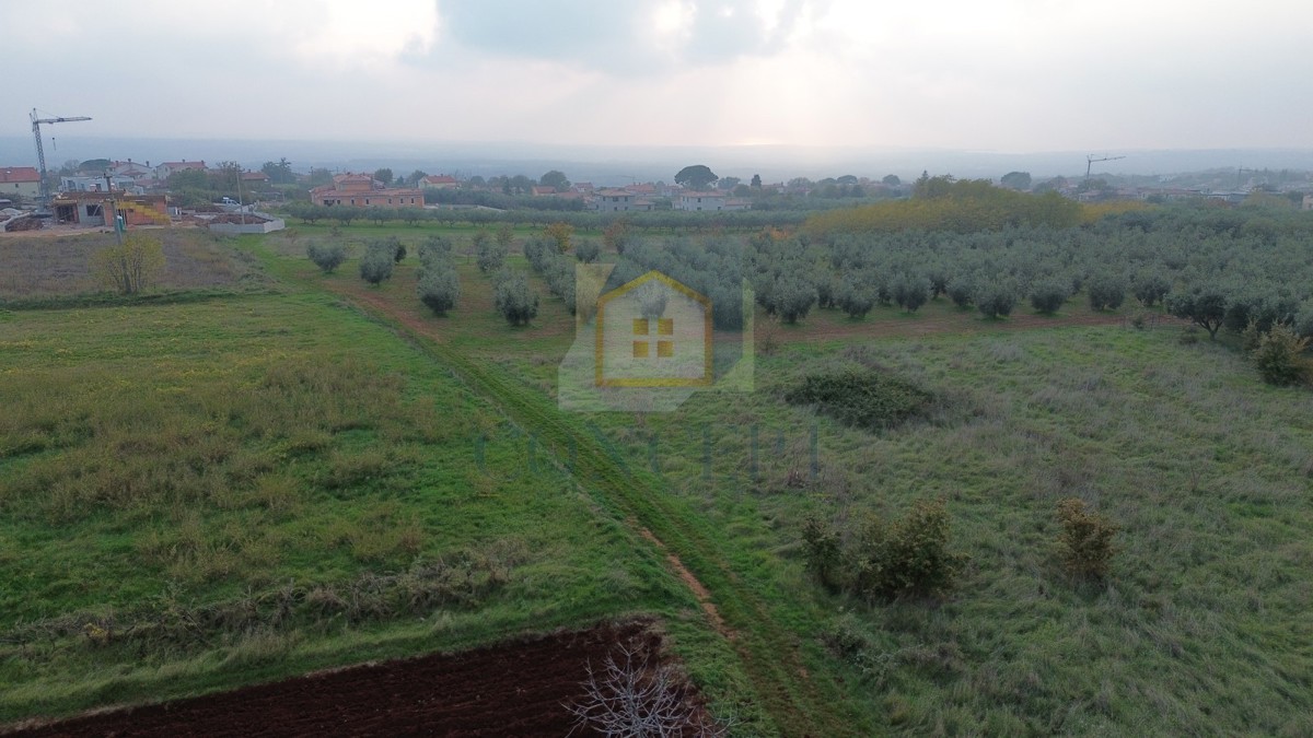 Poreč, dintorni, Terreno edificabile con vista mare, 12 km dal mare