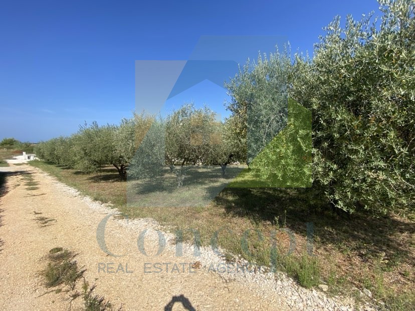 Poreč, Vrsar, dintorni, Casa indipendente con 4 unità abitative e vista mare, 5 km dal mare