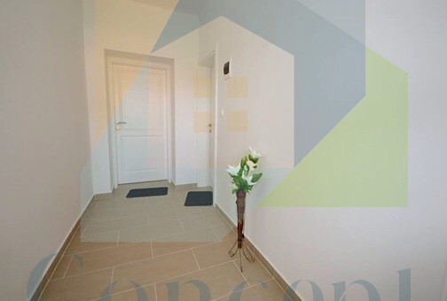 Poreč, dintorni, Imponente casa con 4 unità abitative, 11 km dal mare