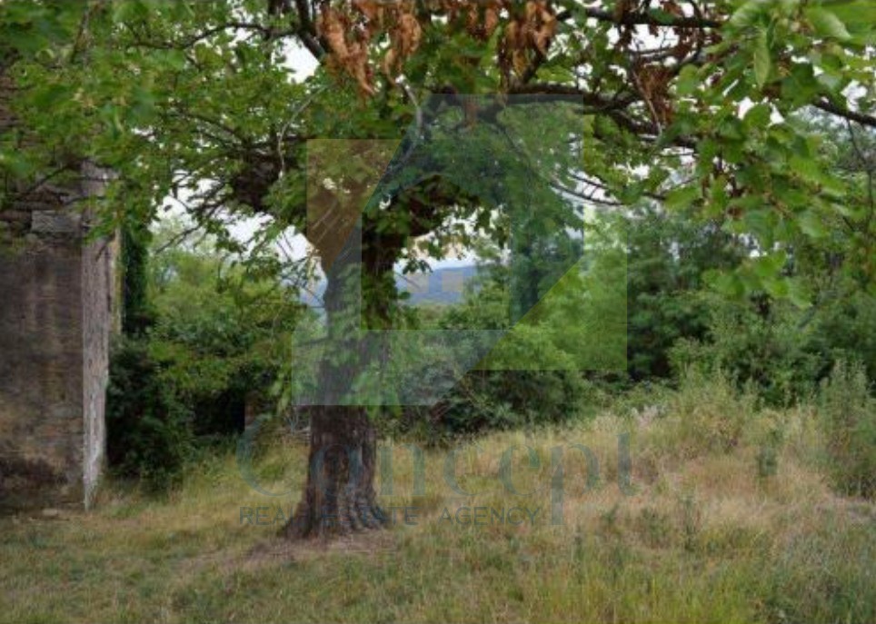 Motovun, dintorni, Proprietà da ristrutturare sulla collina con vista su Motovun e la natura, OCCASIONE per investitori