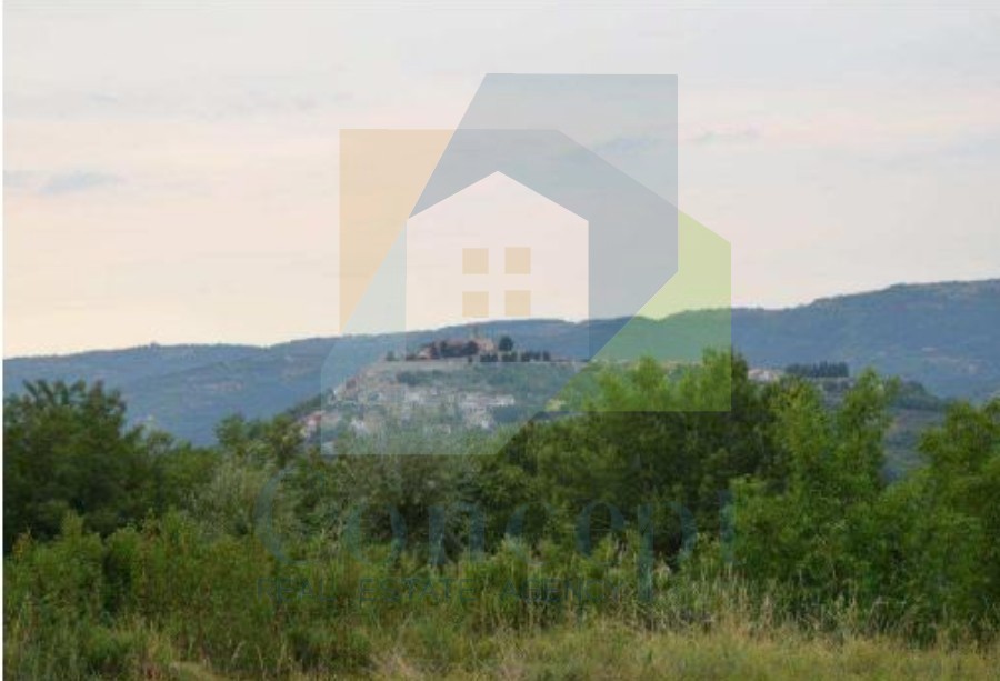 Motovun, dintorni, Proprietà da ristrutturare sulla collina con vista su Motovun e la natura, OCCASIONE per investitori