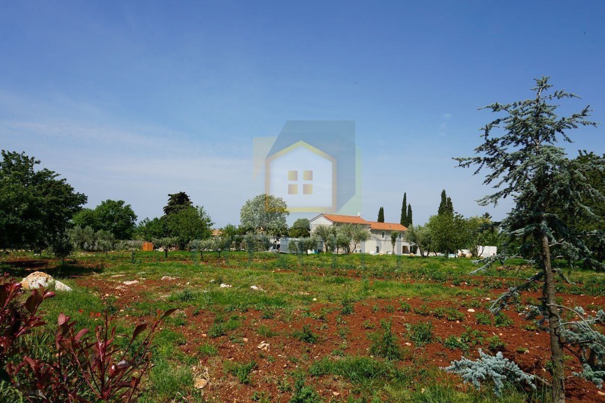 Poreč, dintorni, Ristrutturata villa in pietra con piscina e ampio giardino, 12 km dal mare