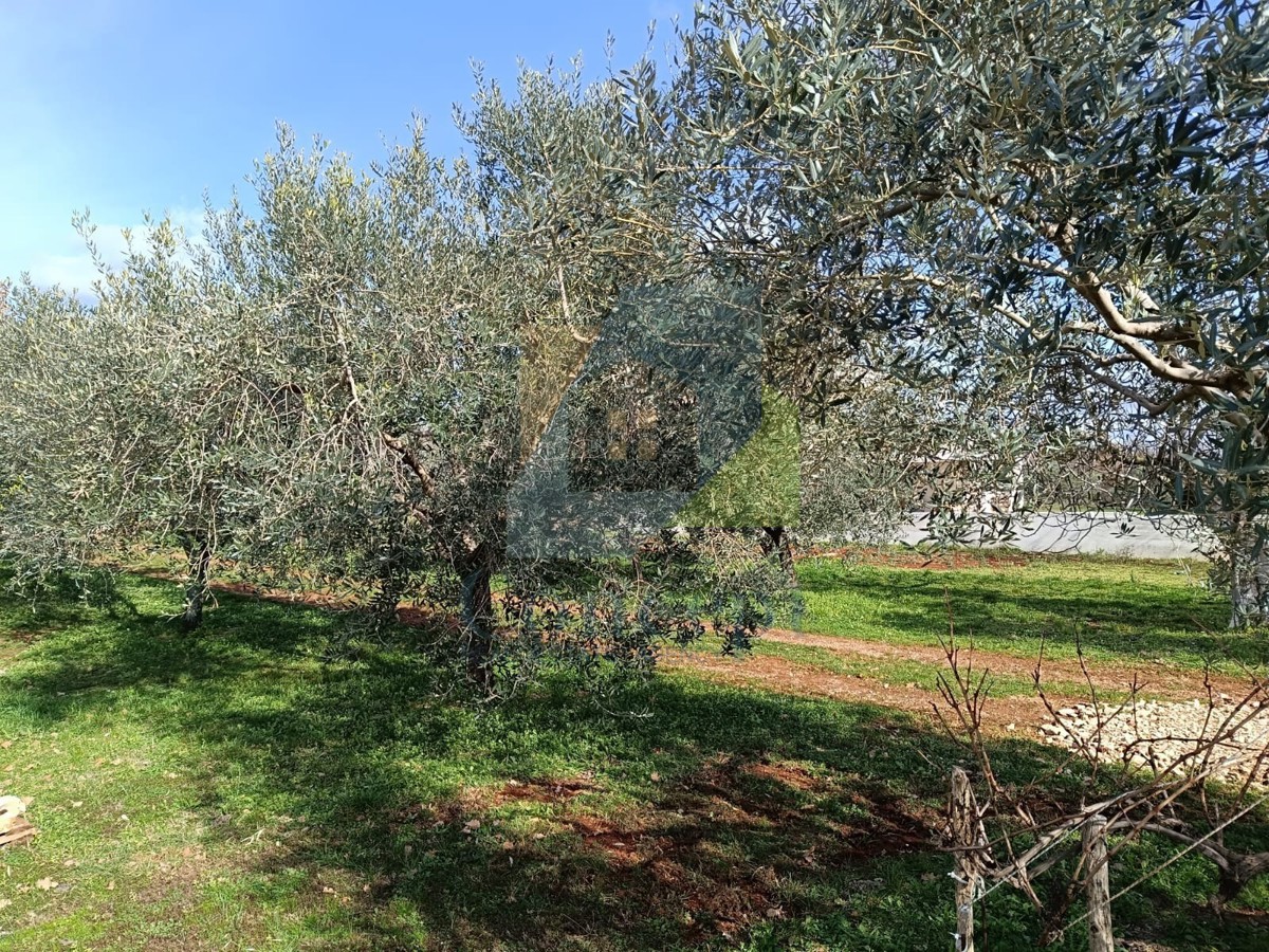 Poreč, dintorni, Terreno edificabile con vista mare