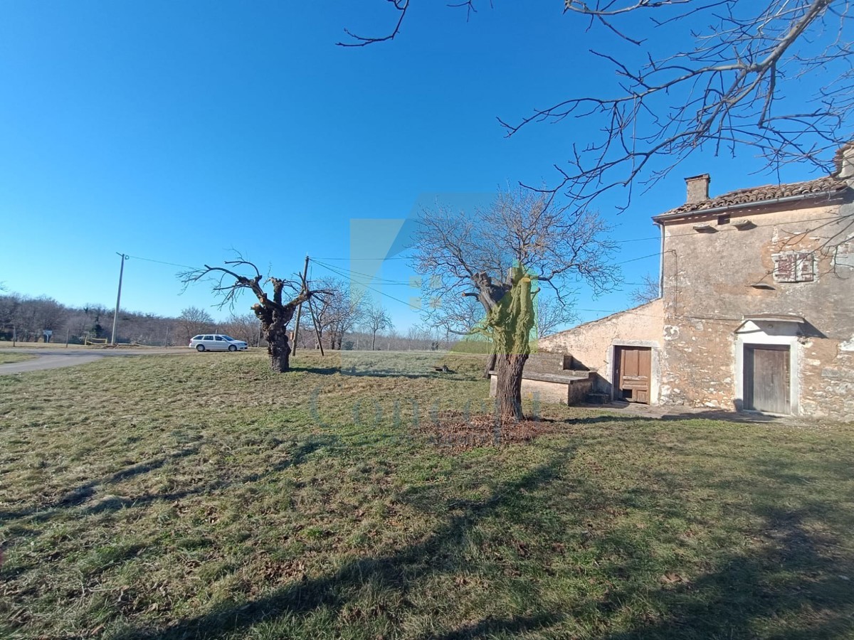 Poreč, dintorni, Casa da ristrutturare in una posizione splendida