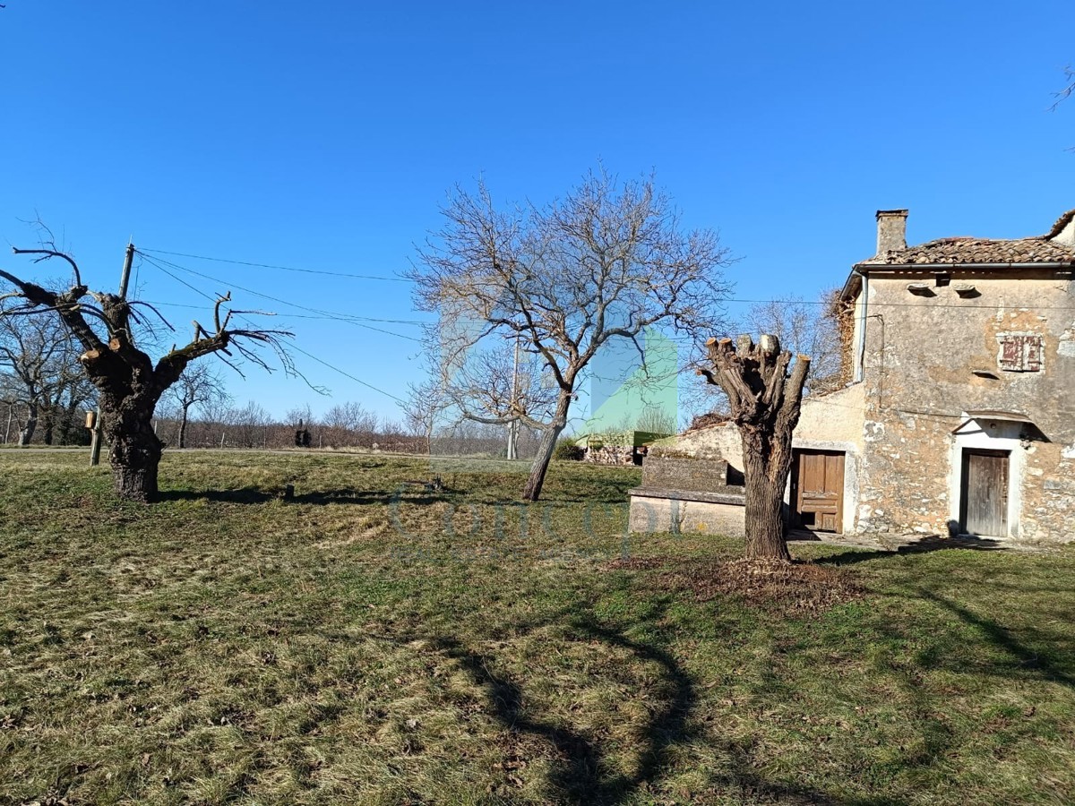 Poreč, dintorni, Casa da ristrutturare in una posizione splendida