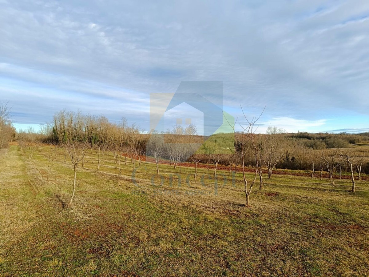 Poreč, dintorni, Terreno edificabile di 1100 m2 con terreno non edificabile