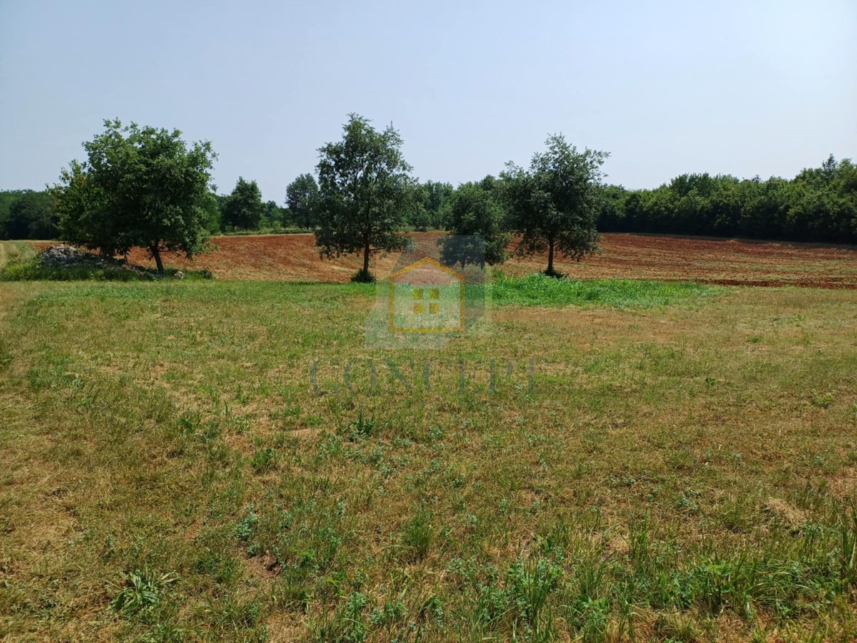 Poreč, Vižinada, dintorni, Ampio terreno agricolo, 400 m dal villaggio