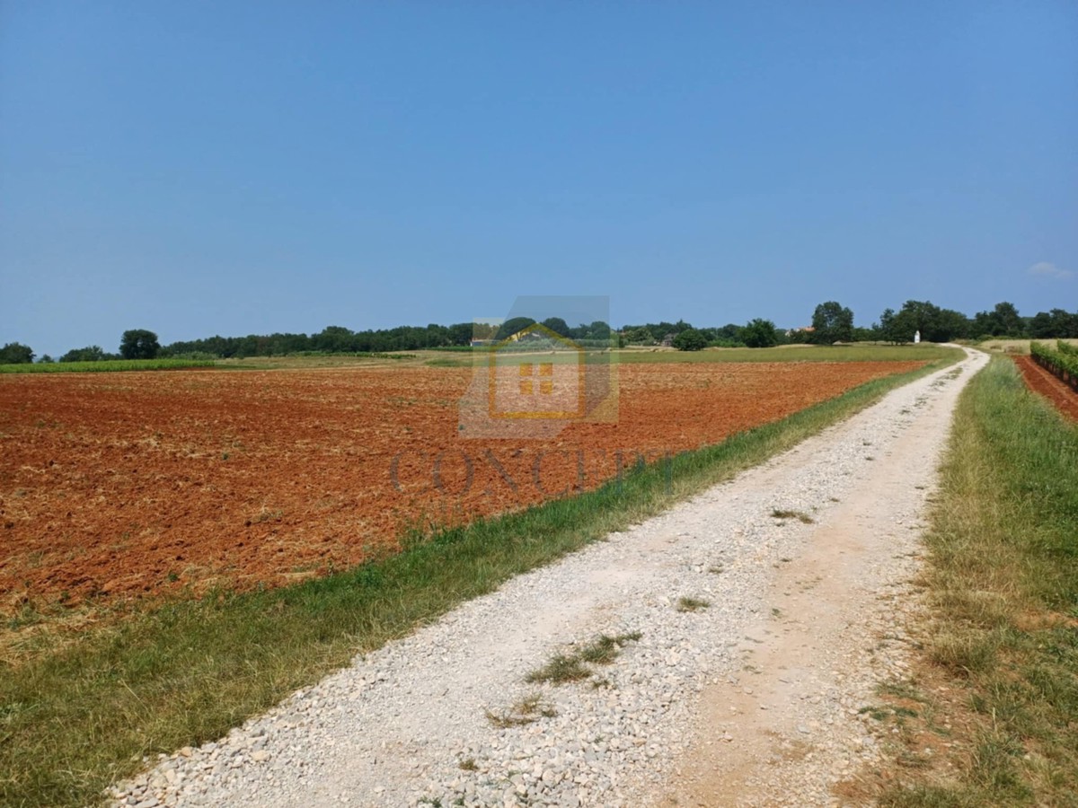 Poreč, Vižinada, dintorni, Ampio terreno agricolo, 400 m dal villaggio