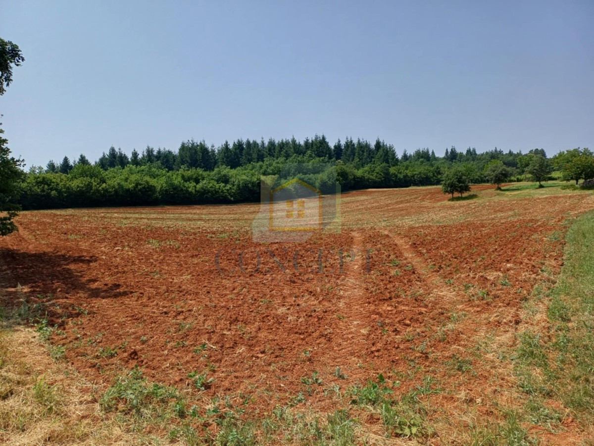 Poreč, Vižinada, dintorni, Ampio terreno agricolo, 400 m dal villaggio