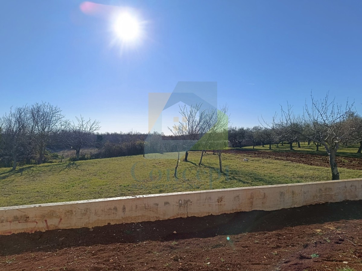 Poreč, dintorni, Splendida casa in pietra in una posizione idilliaca