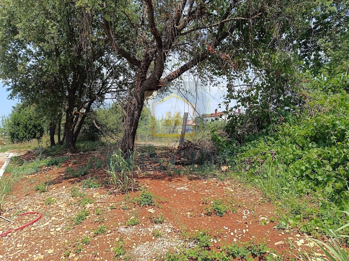 Poreč, zona circostante, Terreno edificabile con vista mare, a 1,5 km dal mare