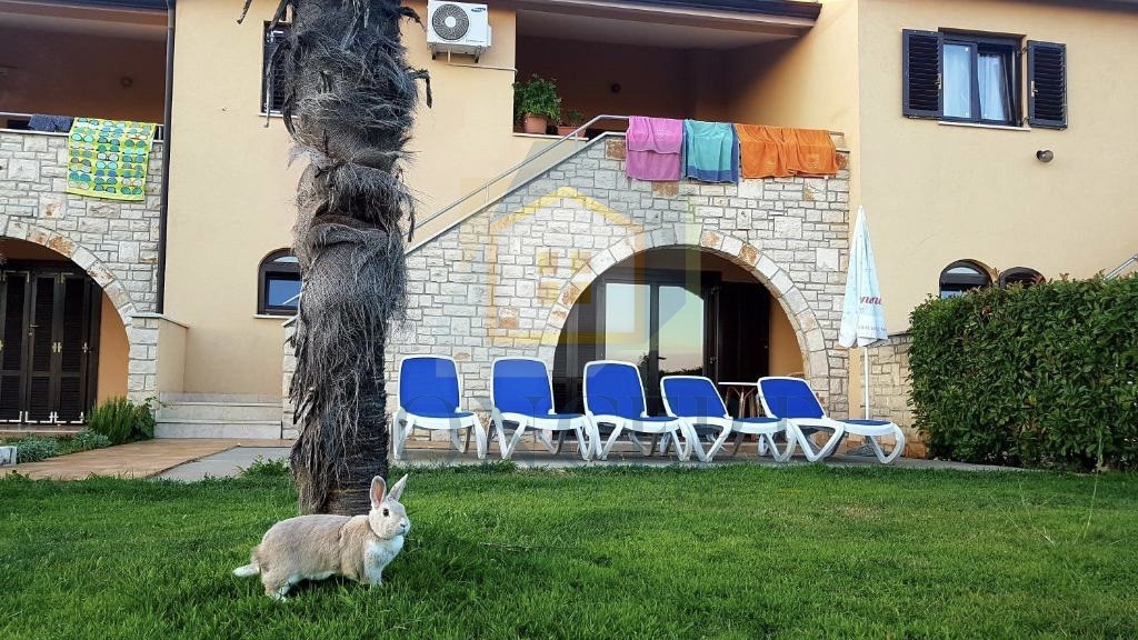 Poreč, dintorni, Casa a schiera con piscina comune, 12 km dal mare