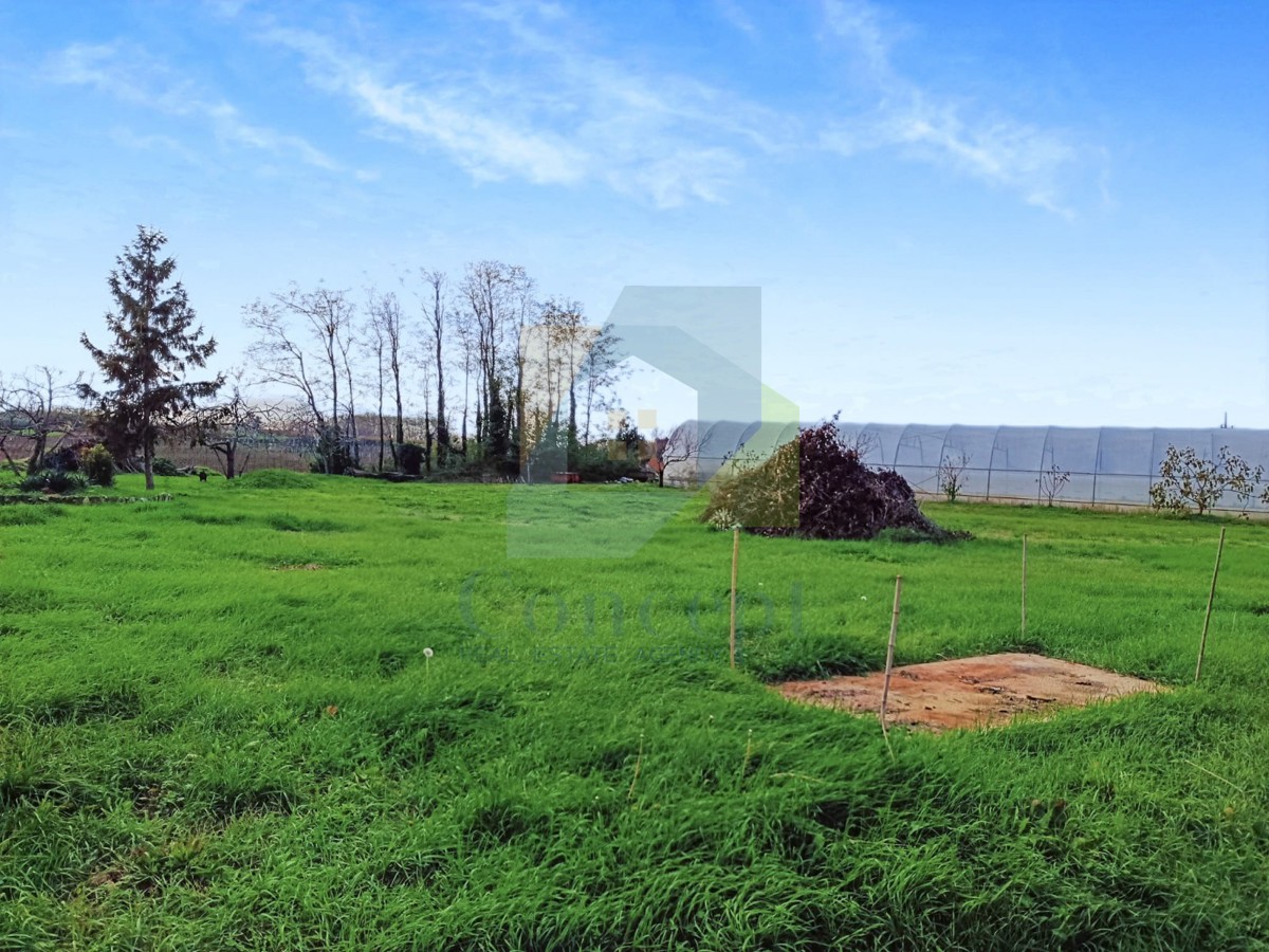 Poreč, zona circostante Terreno edificabile ai margini della zona edificabile con vista mare