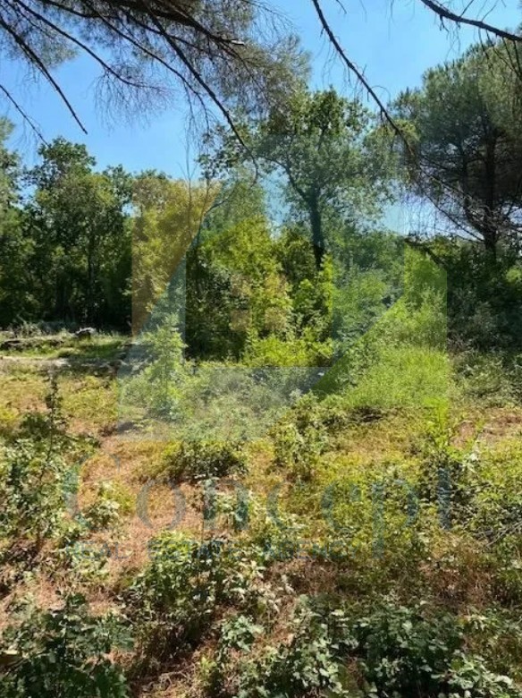 Poreč, Terreno edificabile in posizione attraente a 700 m dal mare