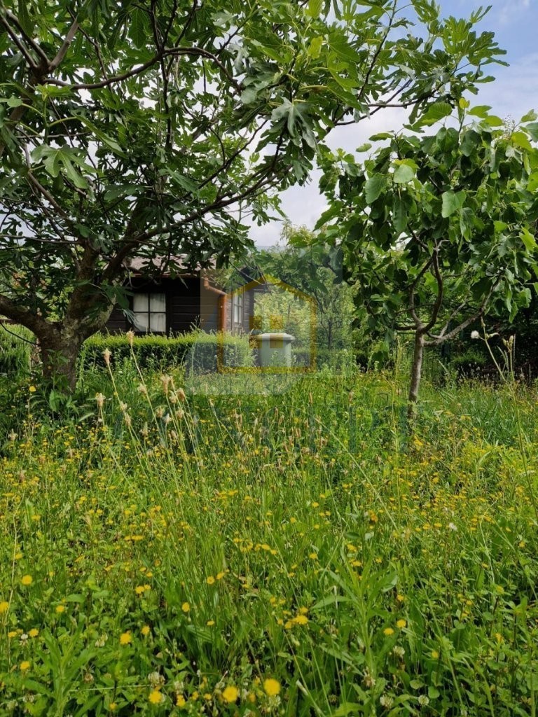 Poreč, dintorni, Casa familiare doppia con giardino, a 2 km dal mare