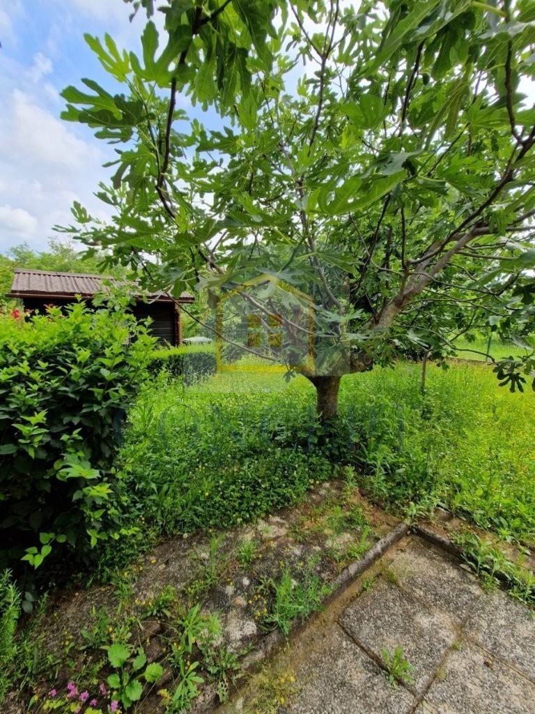 Poreč, dintorni, Casa familiare doppia con giardino, a 2 km dal mare