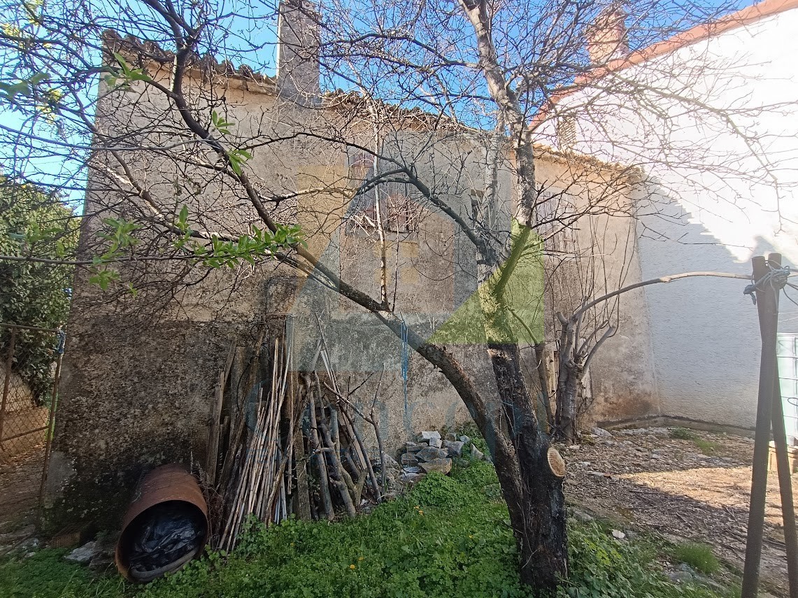 Poreč, dintorni, Casa da ristrutturare in posizione attraente, a 3 km dal mare