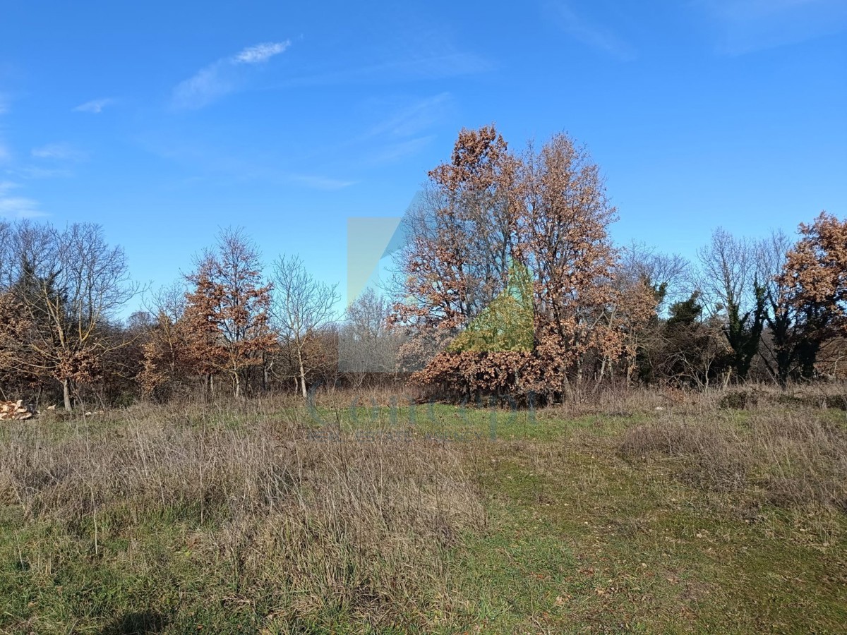 Poreč, dintorni, Terreno edificabile di 543 m2 e terreno agricolo di 1527 m2