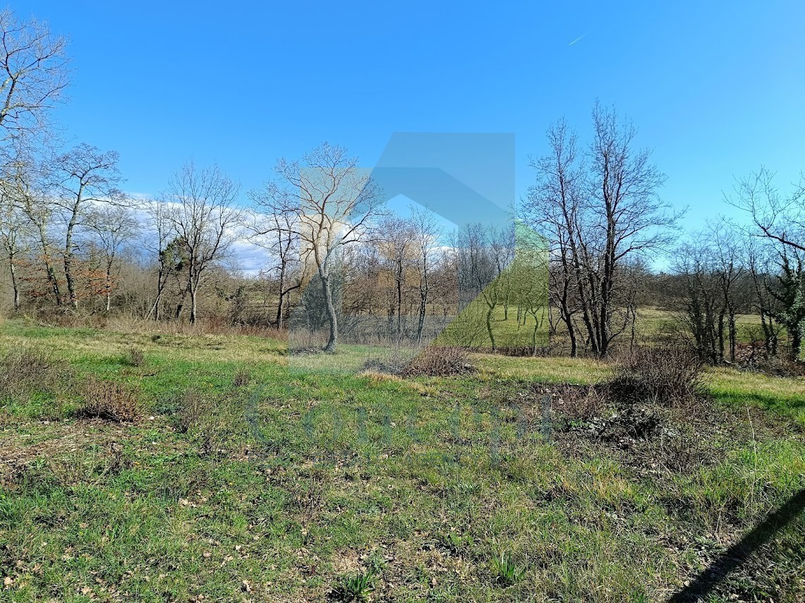 Poreč, Tar - PREZZO RIDOTTO - Terreno edificabile zona T2 a 1,5 km dal mare