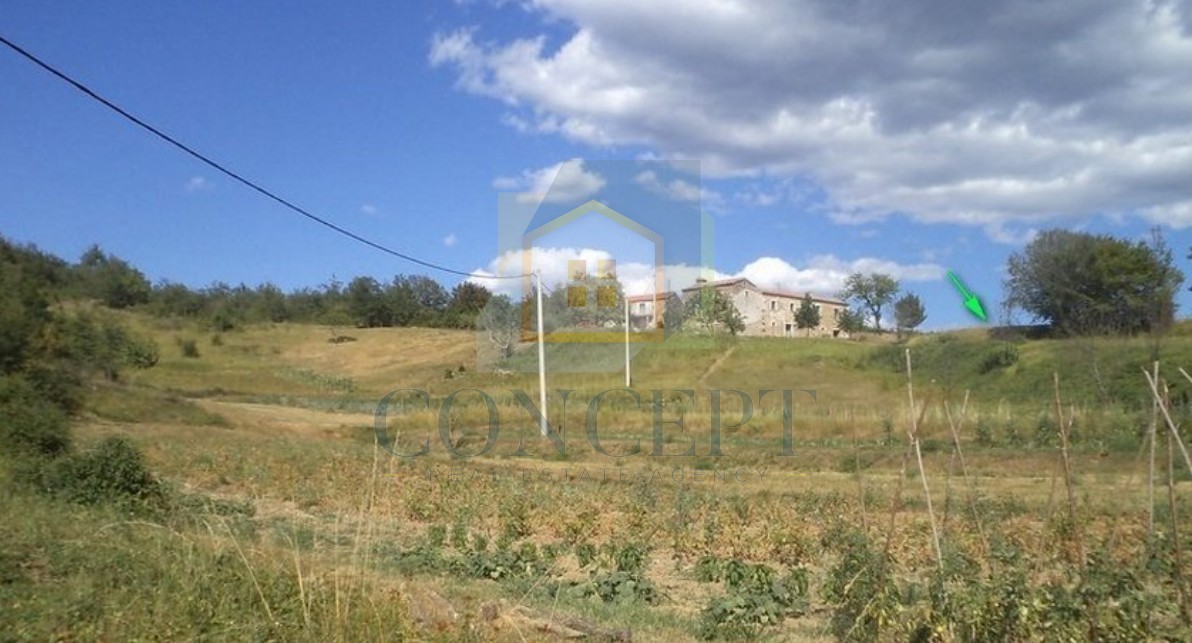 Poreč, Karojba, dintorni, Grande terreno di 12550 m2, 1900 m2 edificabili, 20 km dal mare