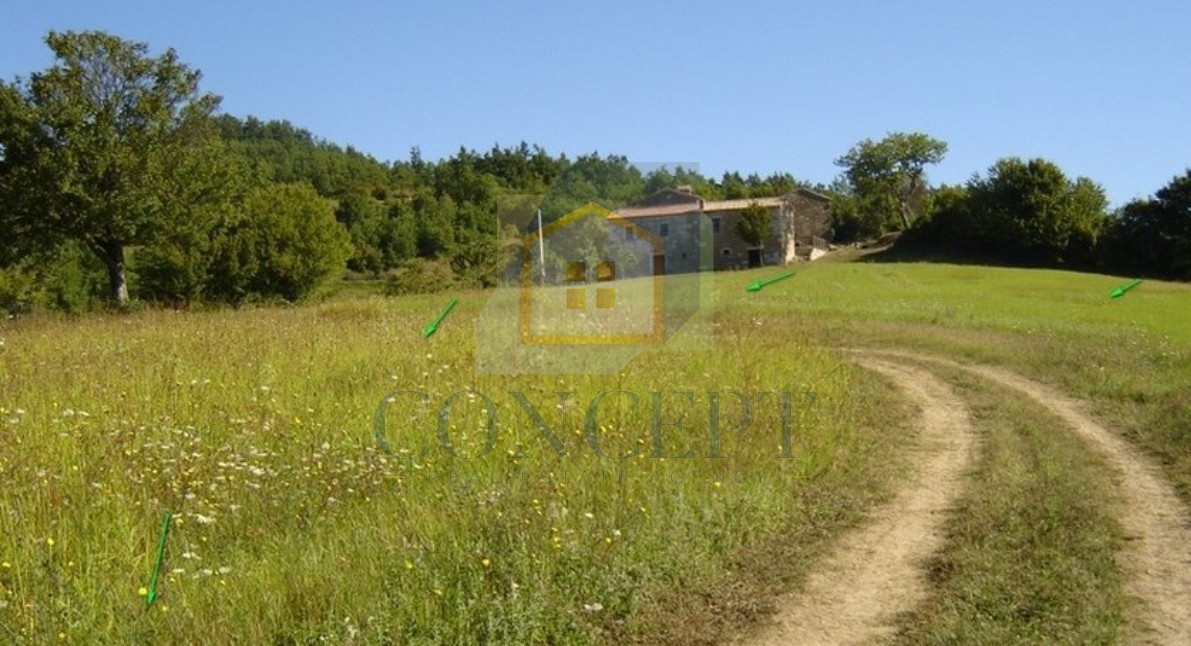 Poreč, Karojba, dintorni, Grande terreno di 12550 m2, 1900 m2 edificabili, 20 km dal mare