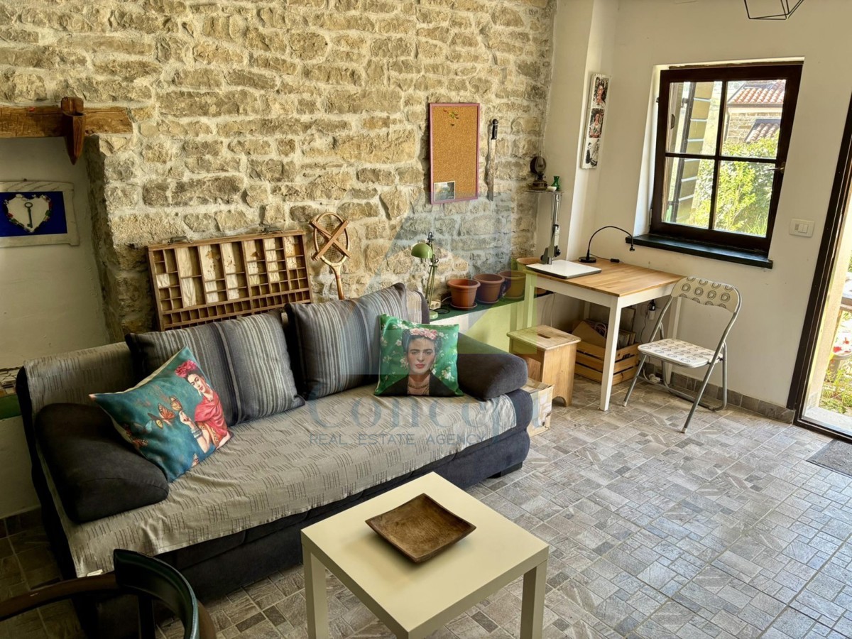 Istra, Grožnjan, Casa bifamiliare con 4 unità abitative e giardino